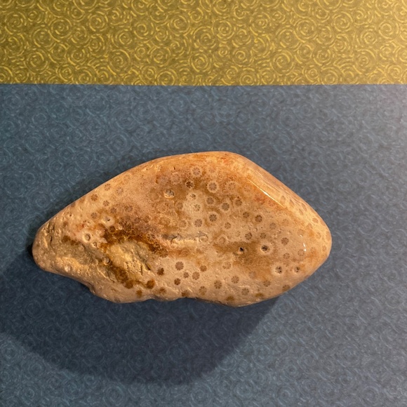 Natural coral stone - Picture 3 of 3